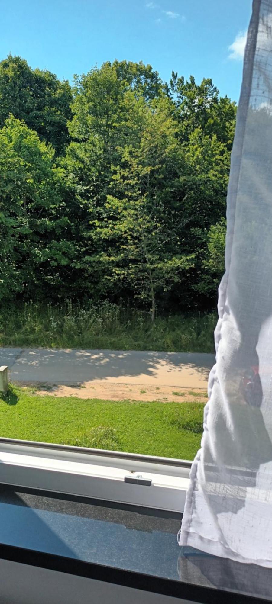 Tisa Self Check In Apartment Plitvicka Jezera Bagian luar foto